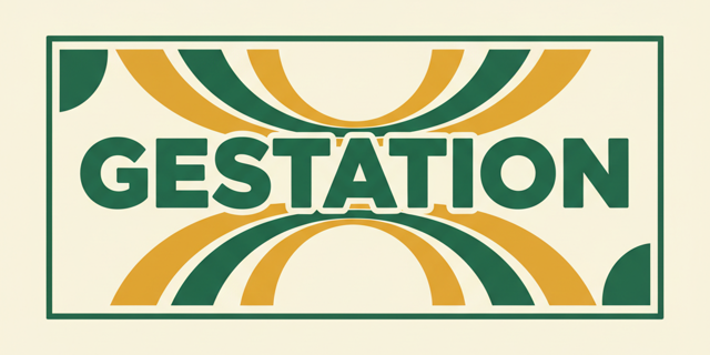 Sowing Through Slow Seasons thumbnail